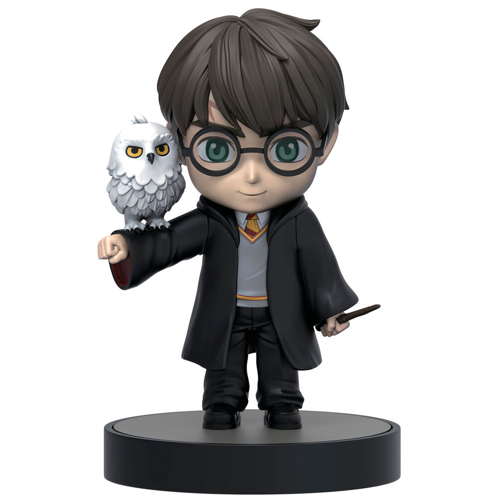 Harry Potter Mystery Box