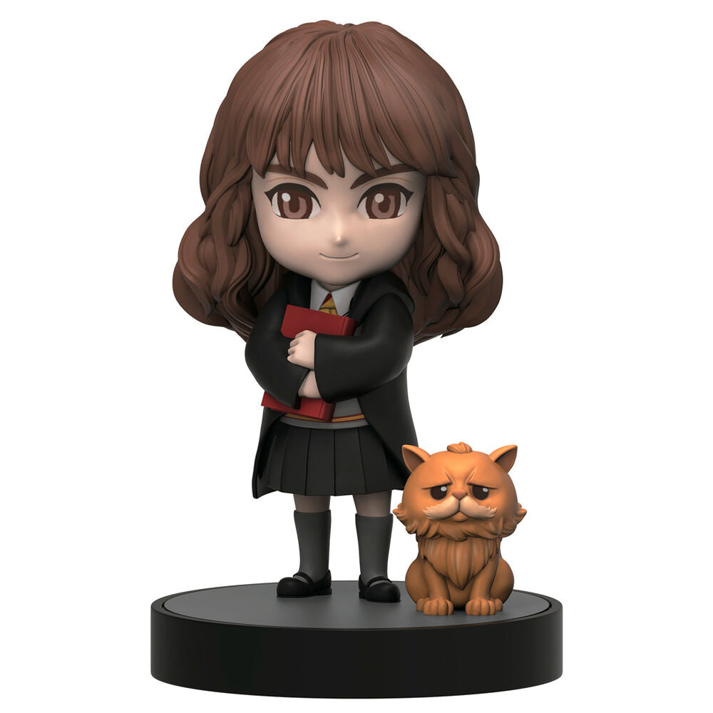 Harry Potter Mystery Box