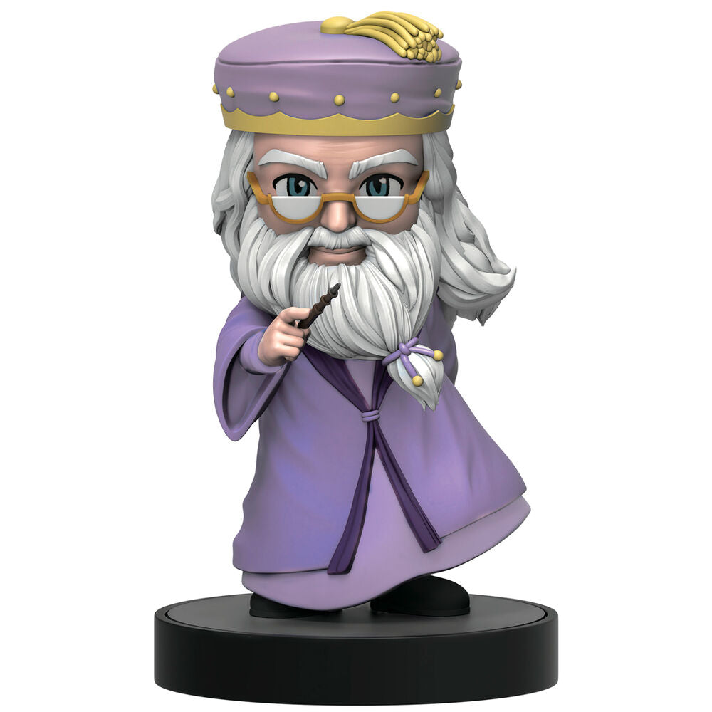 Harry Potter Mystery Box